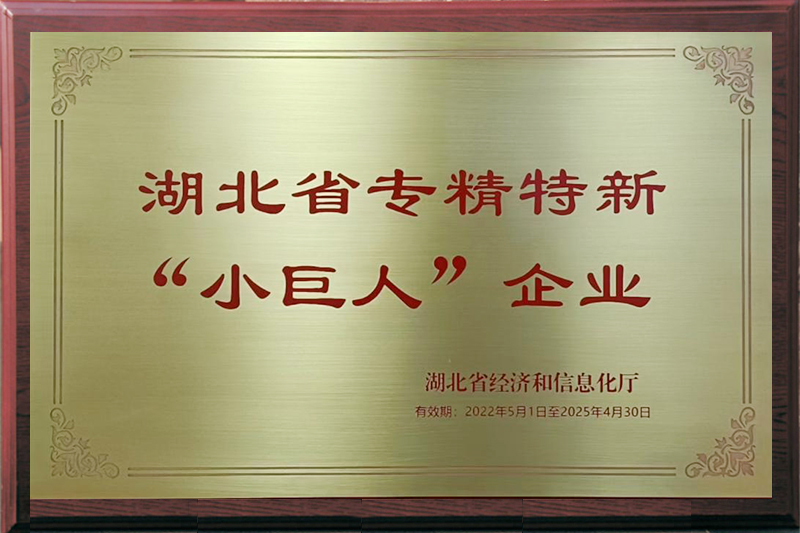 湖北省专精特新“小巨人”企业 